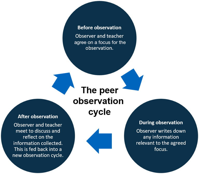 A figure of three circles with arrows between them pointing at the next circle, with the text The Peer Observation Cycle in the center, and the three circles containing the text Before Observation - Observer and teacher agree on a focus for the observation; During observation - Observer writes down any information relevant to the agreed focus; and After Observation - Observer and teacher meet to discuss and reflect on the information collected. This is fed back into a new observation cycle.