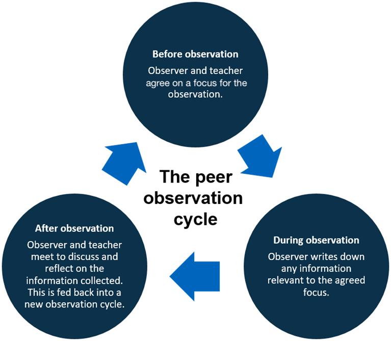 The Peer Observation Cycle. 3 blue circles arranged in a triangle with arrows pointing between the circles to indicate a cycle. Top circle states “before observation: observer and teacher agree on a focus for the observation. Bottom right circle states “during observation: observer writes down any information relevant to the agreed focus.” Bottom left circle states “after observation: observer and teacher meet to discuss and reflect on the information collected. This is fed back into a new observation cycle.”