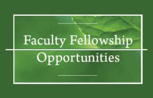 Faculty Fellowships