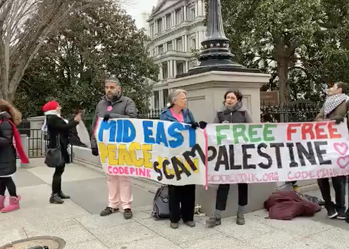 Code Pink rally at the White House against the Middle East "Peace Plan," January 2020