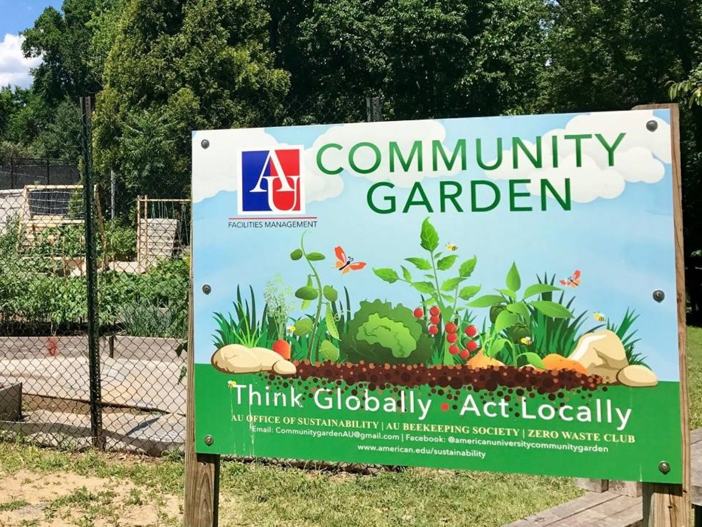 American University Community Garden
