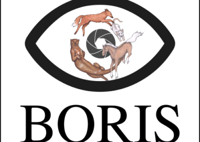 Behavioral Observation Research Interactive Software (BORIS)