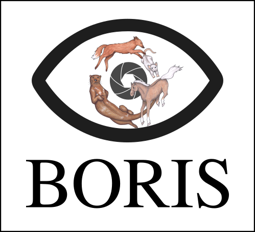 Behavioral Observation Research Interactive Software (BORIS) user