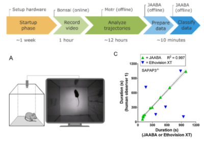 Automated Classification of Self-grooming in Mice
