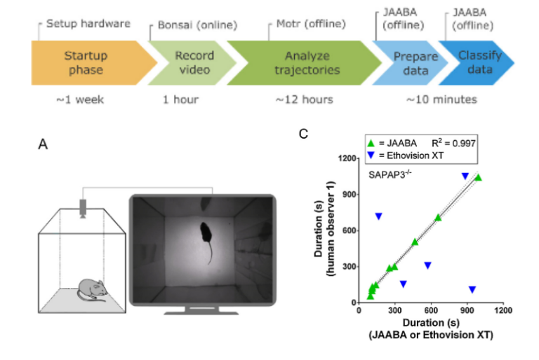 Automated classification of self-grooming in mice-1