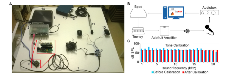 Head-Fixed Setup for Combined Behavior, Electrophysiology, and Optogenetics-2