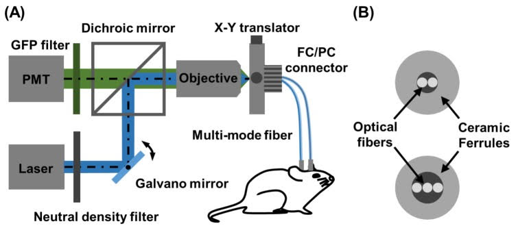 Multi-channel Fiber Photometry-1