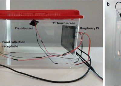 Open-source touch-screen for rodent behavioral testing