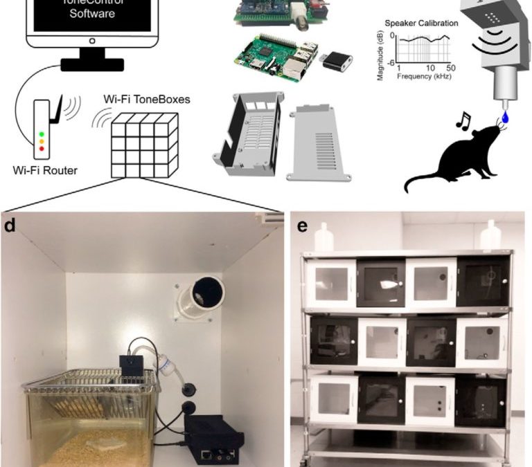 ToneBox: a system for automated auditory operant conditioning
