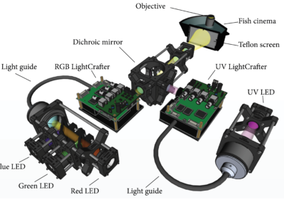 Visual stimulator with customizable light spectra