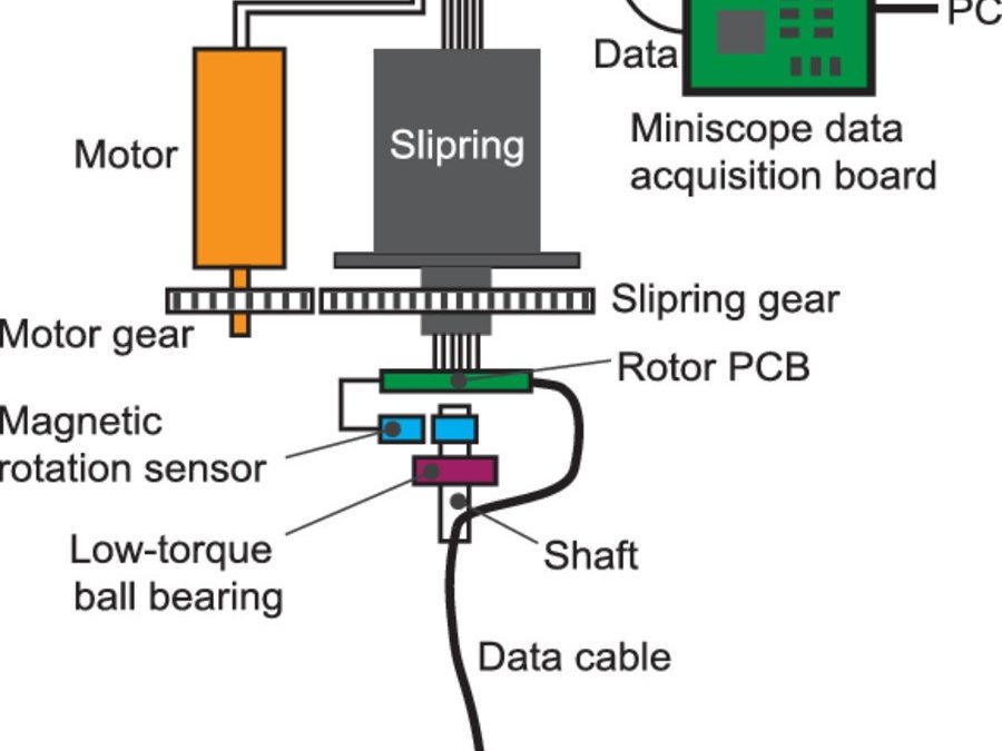 An open source motorized swivel for in vivo neural and behavioral recordings