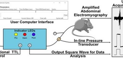 Timed pressure control hardware and software for delivery of air mediated distensions in animal models