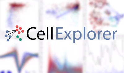 CellExplorer