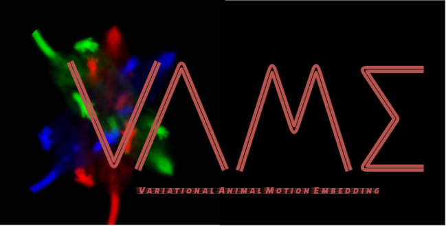 VAME: Variational Embedding of Animal Motion