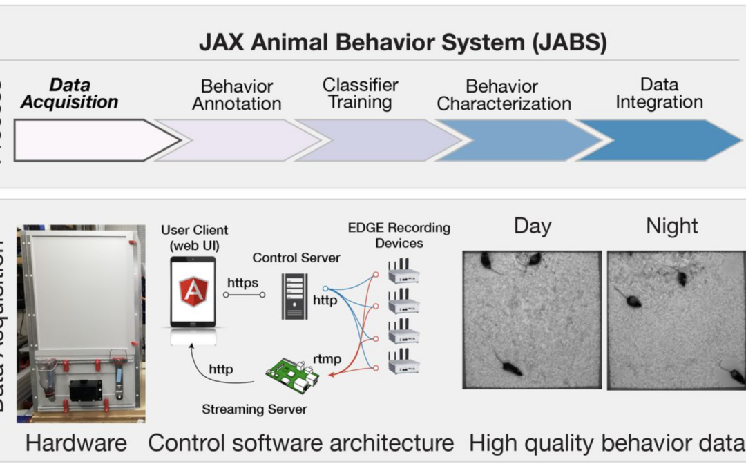 JAX Animal Behavior System (JABS)
