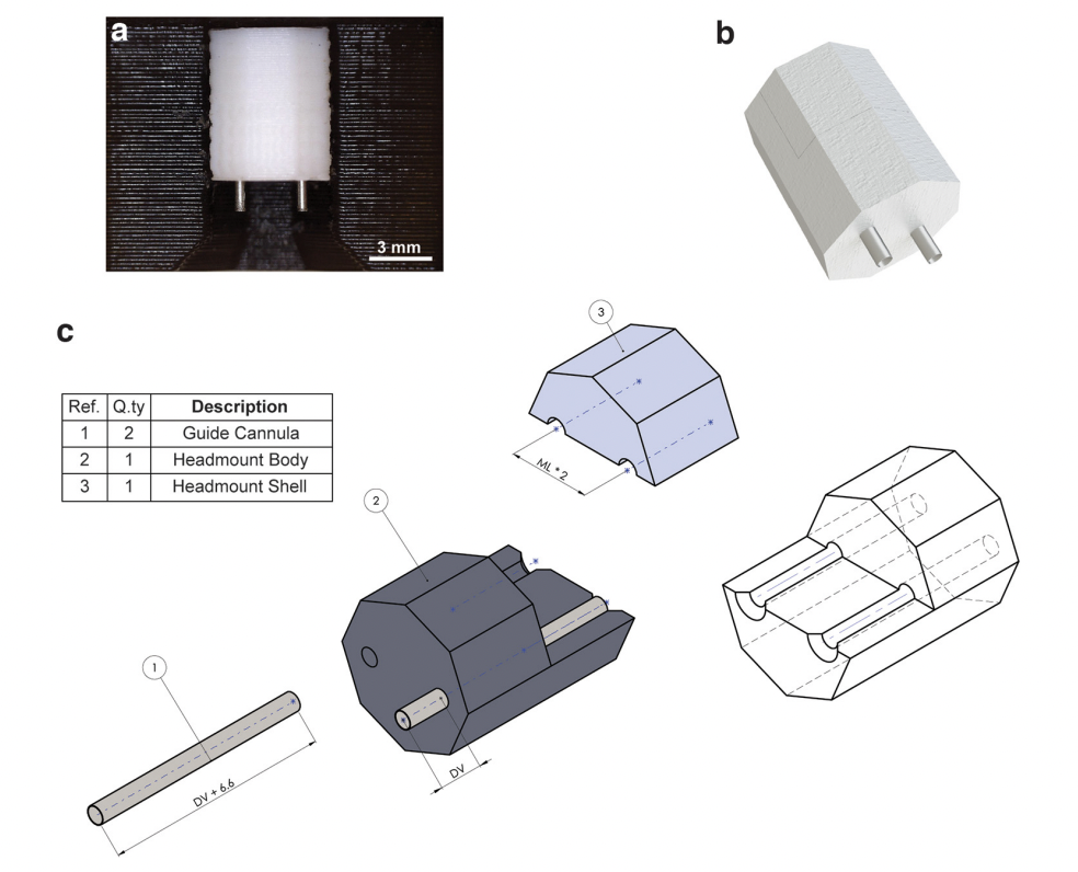 Application of 3D Printing Technology to Produce Hippocampal Customized Guide Cannulas