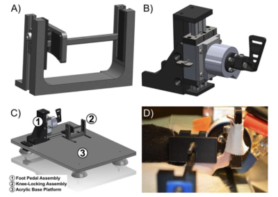 3D-printed Hindlimb Stabilization Apparatus