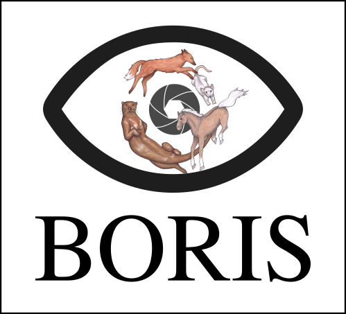 Behavioral Observation Research Interactive Software (BORIS)