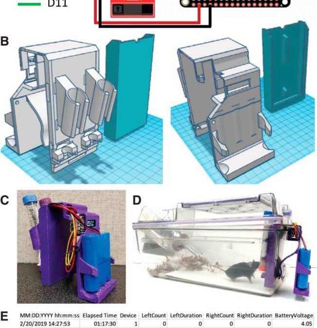 Automated Home-Cage Rodent Two-bottle Choice Test