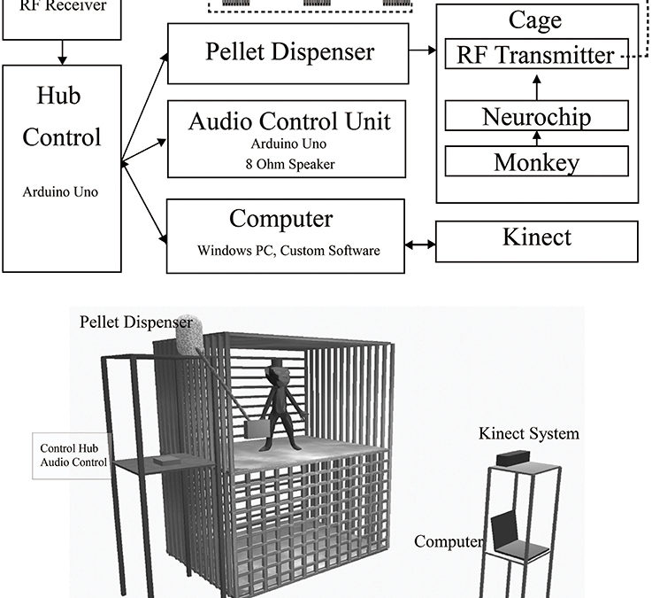 Free-Behavior Monitoring and Reward System for Non-human Primates