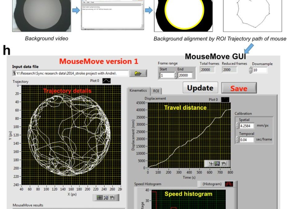 MouseMove