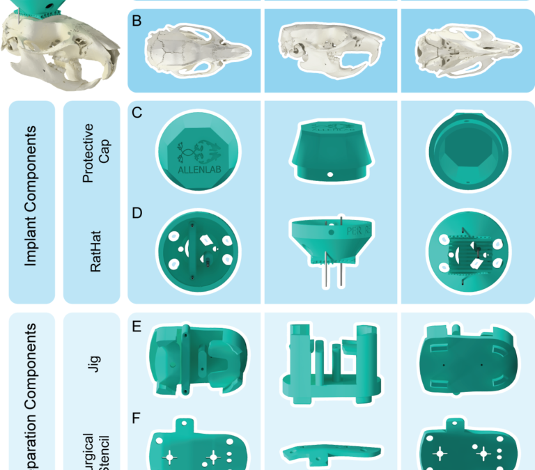 RatHat: A self-targeting printable brain implant system