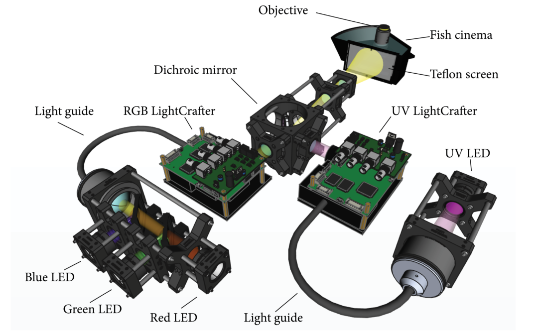 Visual stimulator with customizable light spectra