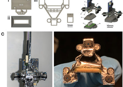 A Head-Mounted Multi-Camera System for Freely-Moving Mice