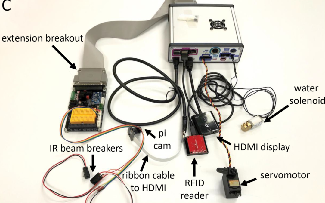 Homecage Task Training and Mesoscale Imaging