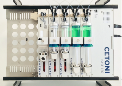 Novel Gustometer for Human Taste Research