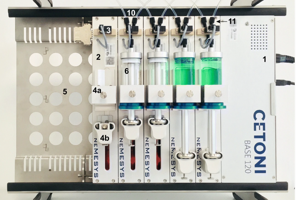 Novel Gustometer for Human Taste Research