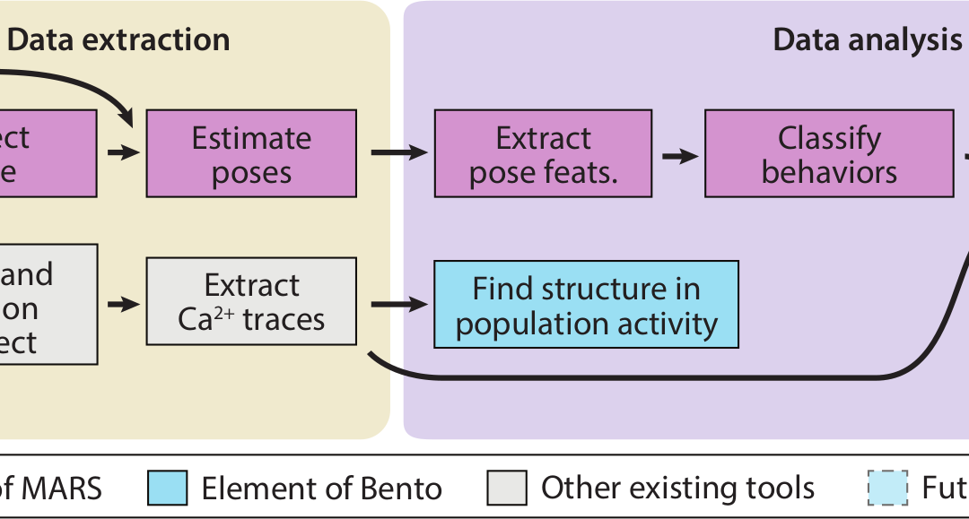 MARS, MARS-Developer, and BENTO