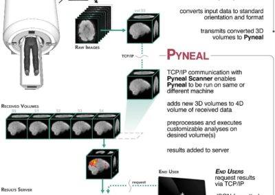 Pyneal