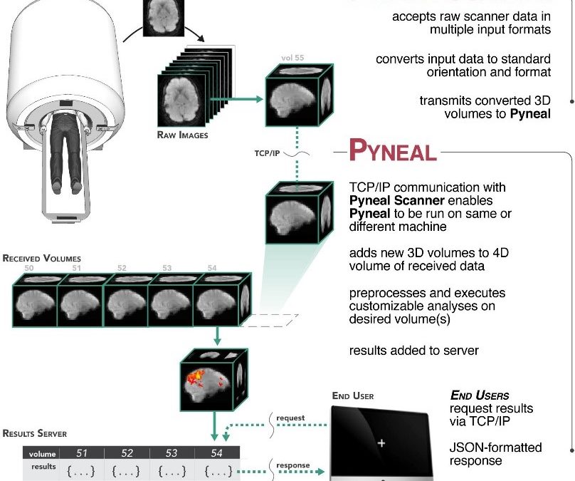 Pyneal