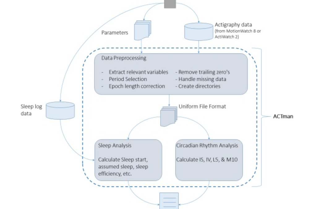 ACTman: Automated preprocessing and analysis of actigraphy data