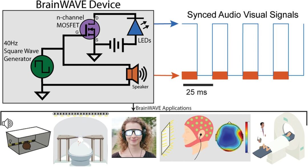 BrainWAVE: Noninvasive Rhythm Stimulation