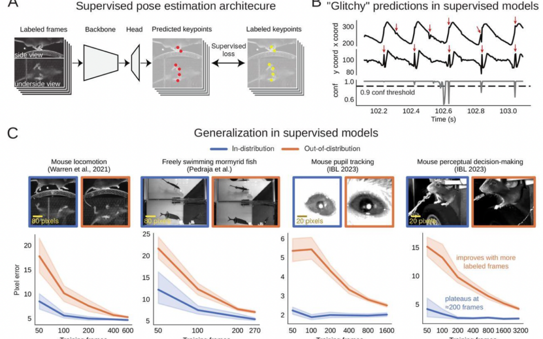 Lightning Pose: a semi-supervised animal pose estimation algorithm, Bayesian post processing approach and deep learning package