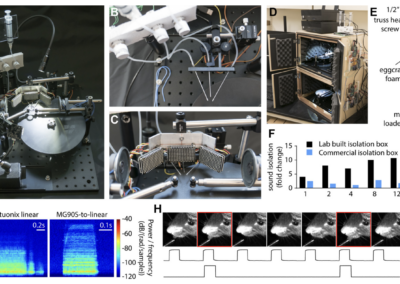 HERBs: head-fixed environment for rodent behaviors