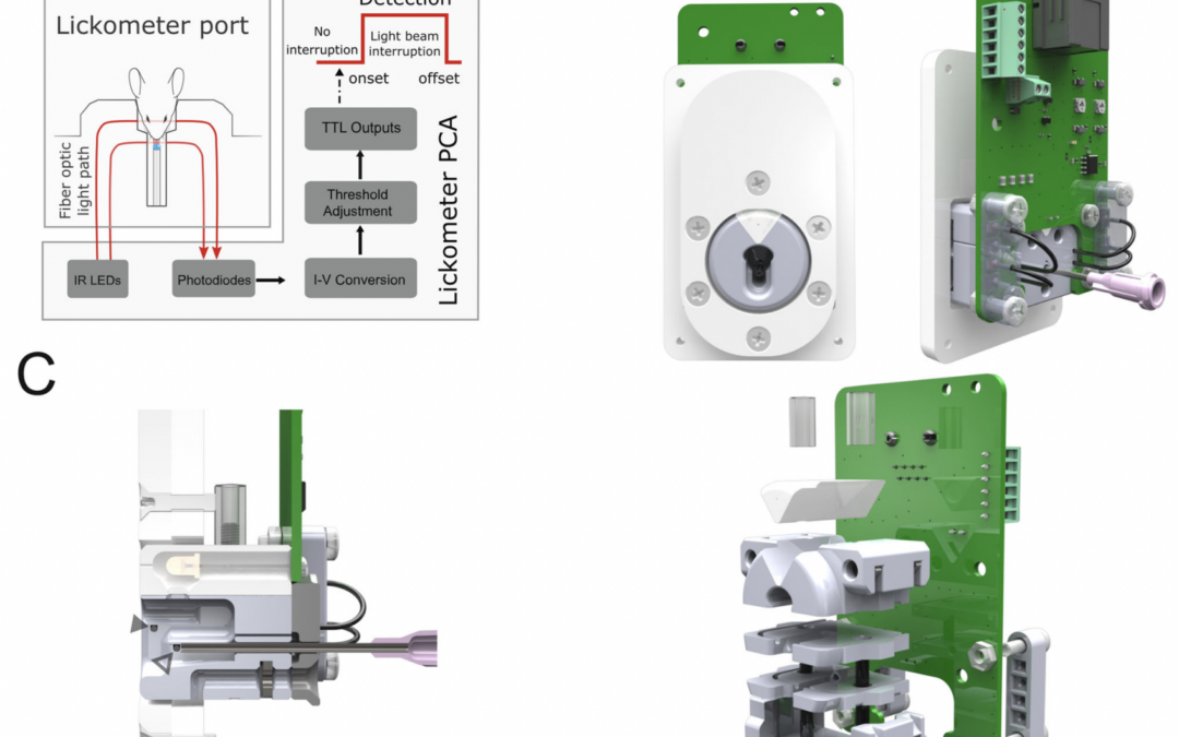 High-Precision Optical Fiber-Based Lickometer