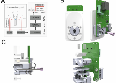 High-Precision Optical Fiber-Based Lickometer