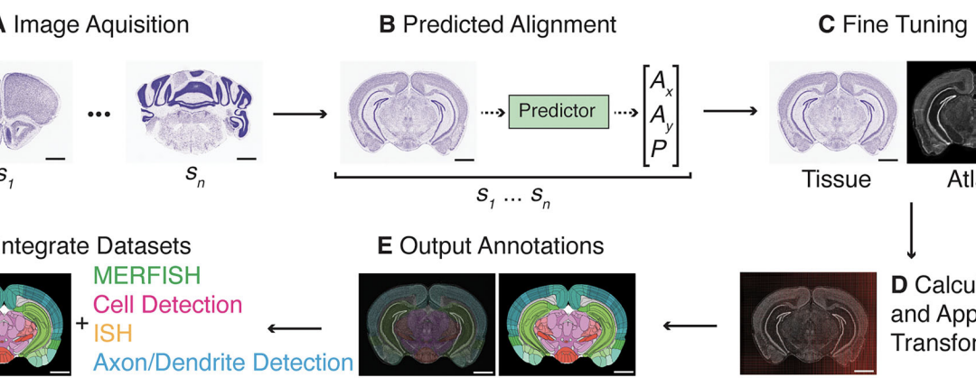 1Data Analysis Software | OpenBehavior