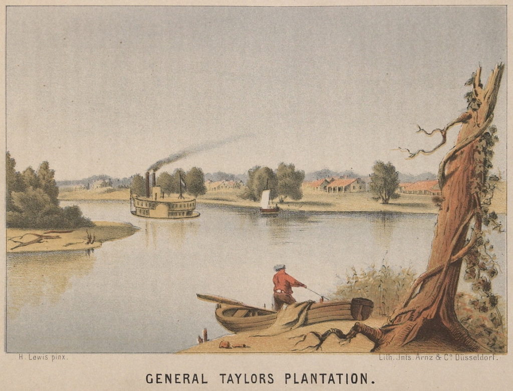 plantation and river with person in boat